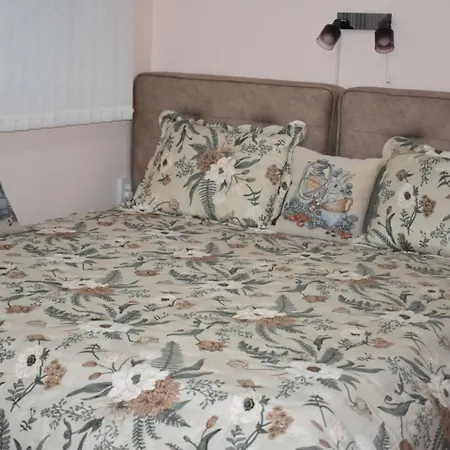 за гости лале * Lovech